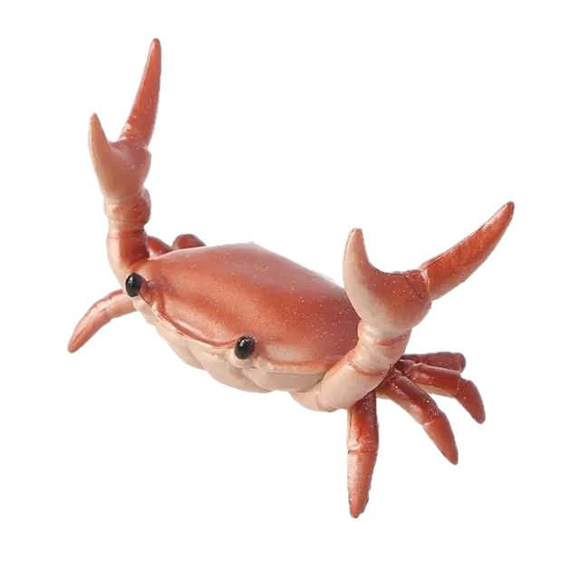 Crab