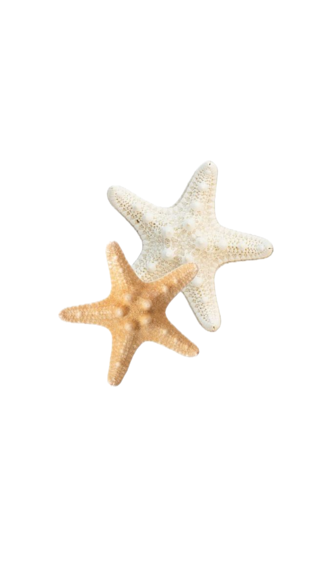 Starfish
